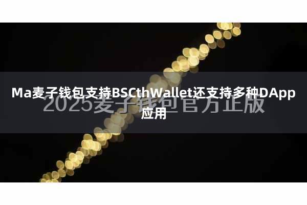 Ma麦子钱包支持BSCthWallet还支持多种DApp应用