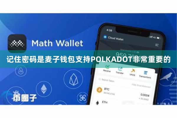 记住密码是麦子钱包支持POLKADOT非常重要的