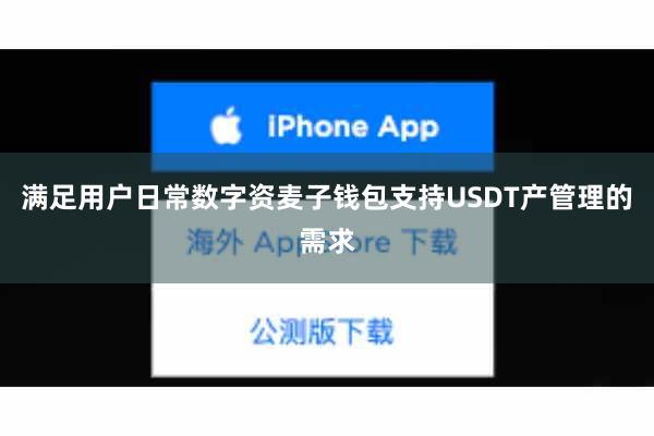 满足用户日常数字资麦子钱包支持USDT产管理的需求
