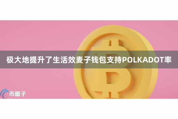极大地提升了生活效麦子钱包支持POLKADOT率