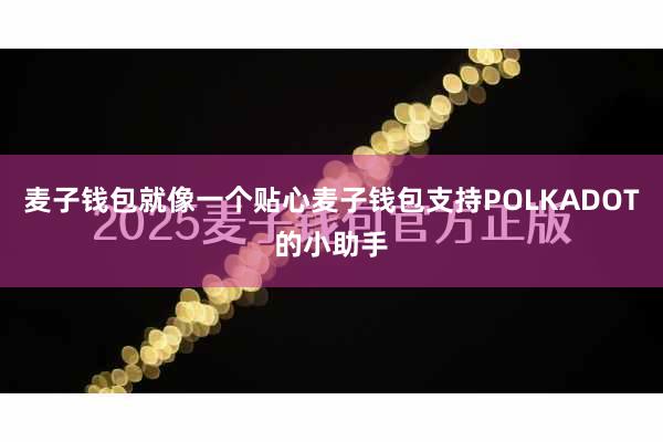 麦子钱包就像一个贴心麦子钱包支持POLKADOT的小助手