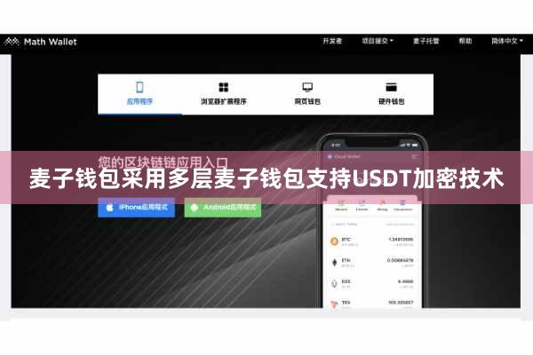 麦子钱包采用多层麦子钱包支持USDT加密技术