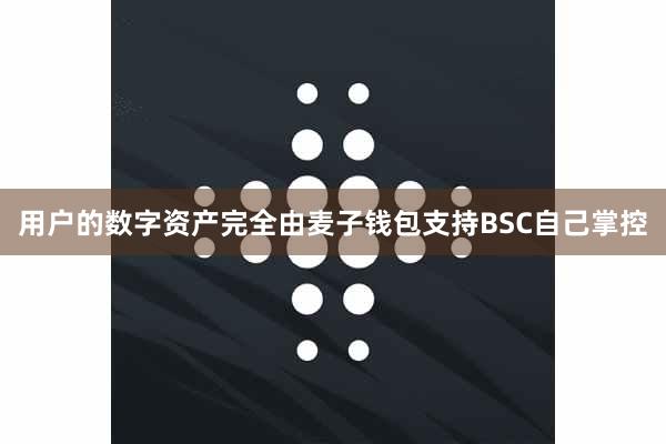 用户的数字资产完全由麦子钱包支持BSC自己掌控