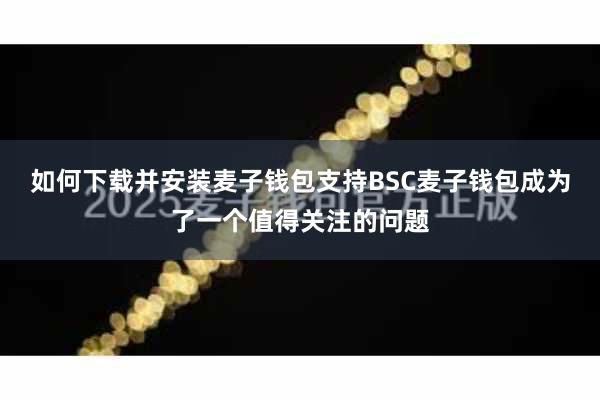 如何下载并安装麦子钱包支持BSC麦子钱包成为了一个值得关注的问题