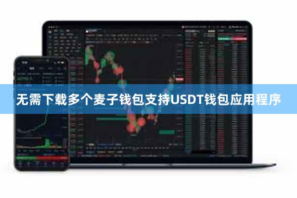 无需下载多个麦子钱包支持USDT钱包应用程序
