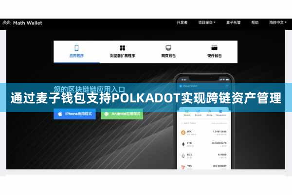 通过麦子钱包支持POLKADOT实现跨链资产管理