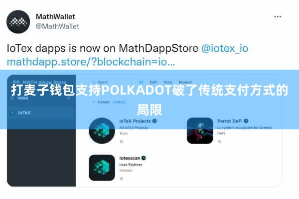 打麦子钱包支持POLKADOT破了传统支付方式的局限