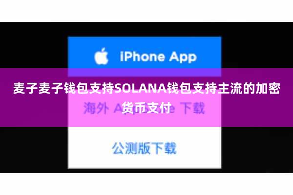 麦子麦子钱包支持SOLANA钱包支持主流的加密货币支付