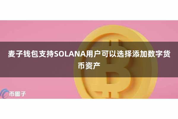 麦子钱包支持SOLANA用户可以选择添加数字货币资产