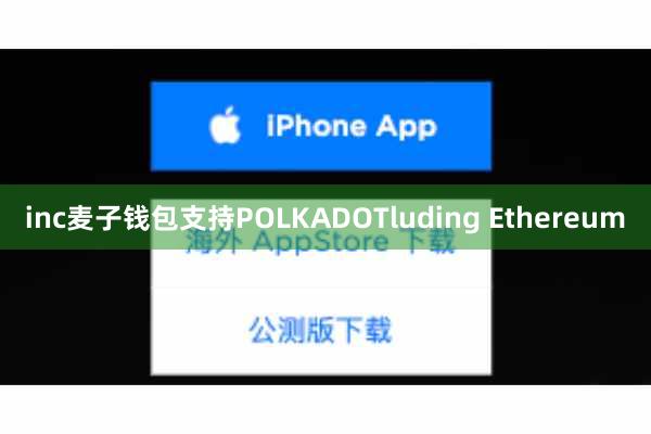 inc麦子钱包支持POLKADOTluding Ethereum