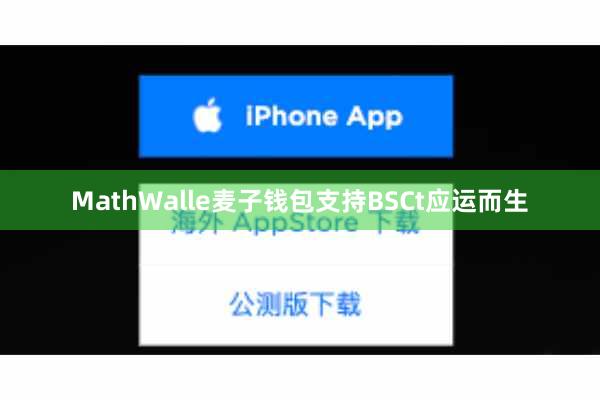MathWalle麦子钱包支持BSCt应运而生