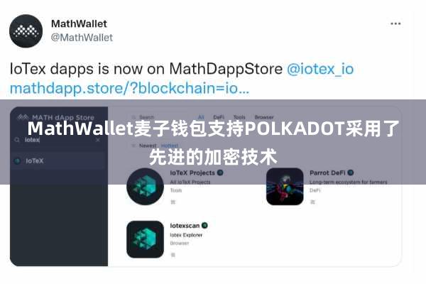 MathWallet麦子钱包支持POLKADOT采用了先进的加密技术