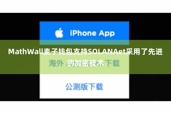 MathWall麦子钱包支持SOLANAet采用了先进的加密技术